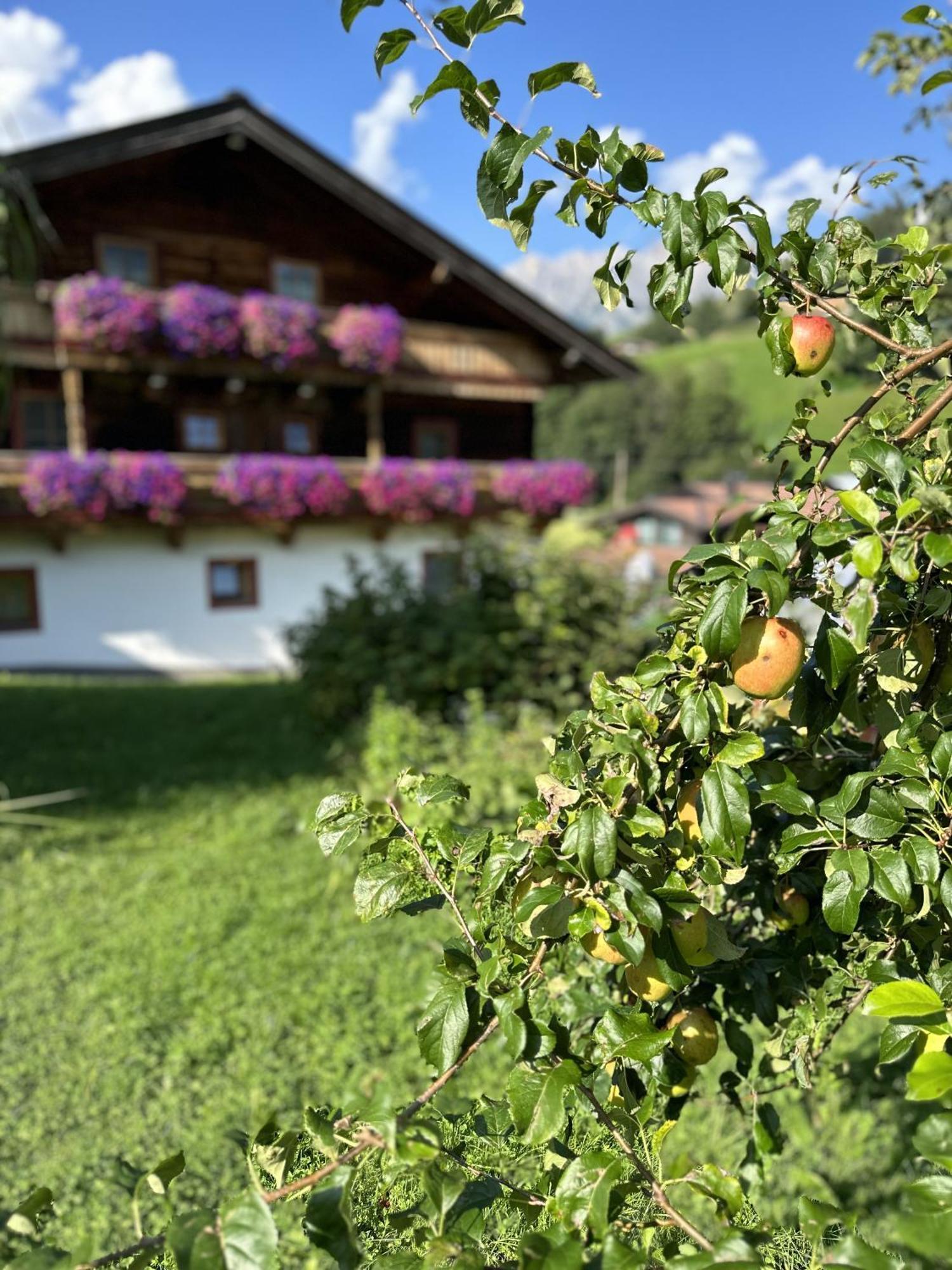 Ferienwohnung Steinernes Meer Maria Alm am Steinernen Meer Exterior foto